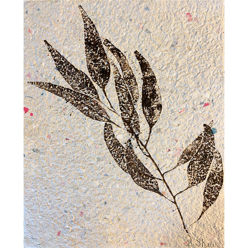 Eucalyptus Plant Print 1