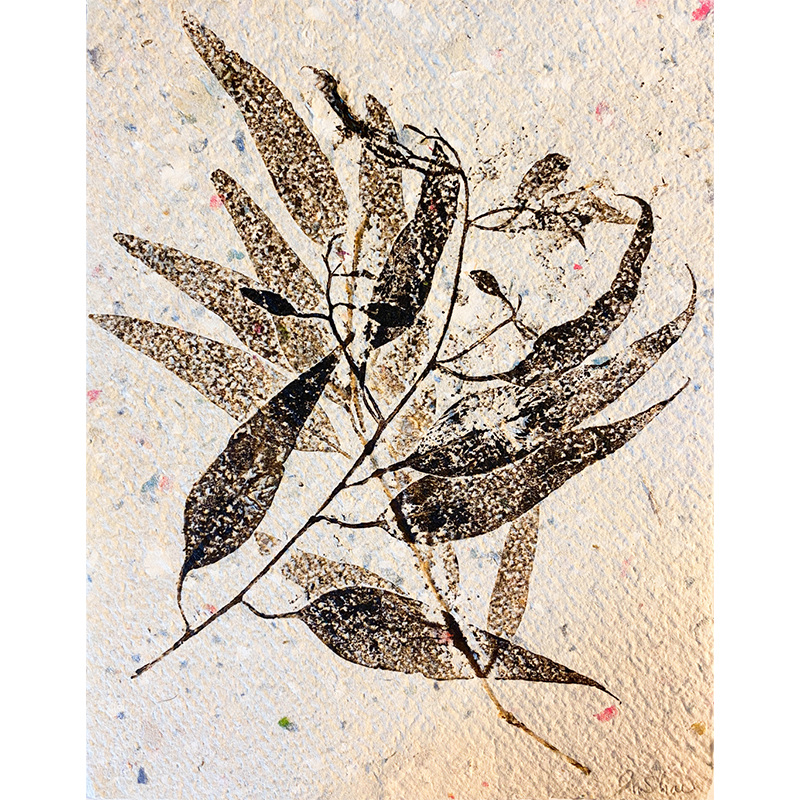 Eucalyptus Plant Print 4