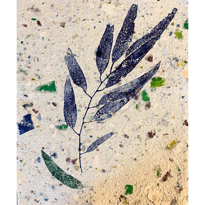 Eucalyptus Plant Print 5